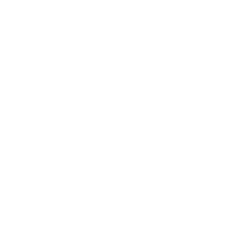 Detail Genius Mobile Detailing